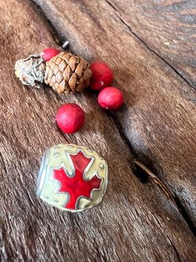 HTF Pandora Limited Edition 2010 Winter Olympics Vancouver Canada Maple Leaf